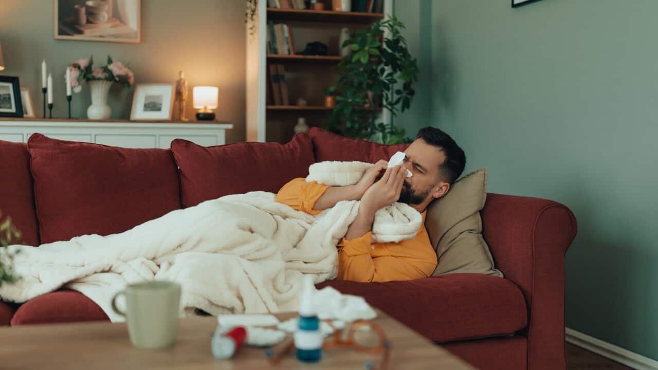Australia Explained: Apakah Anda siap menghadapi musim flu Australia ...