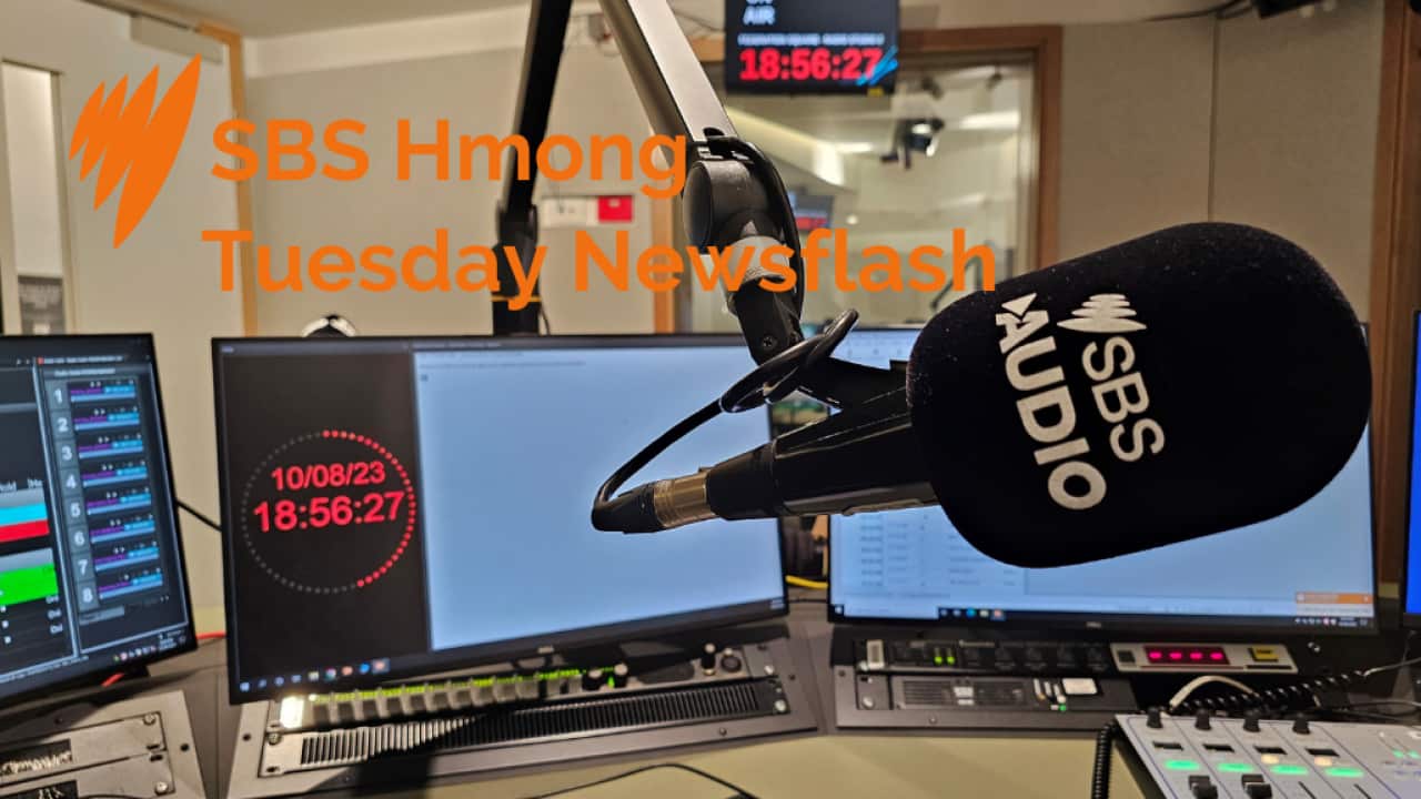 Hmong Tuesday newsflash Canva 230124.png