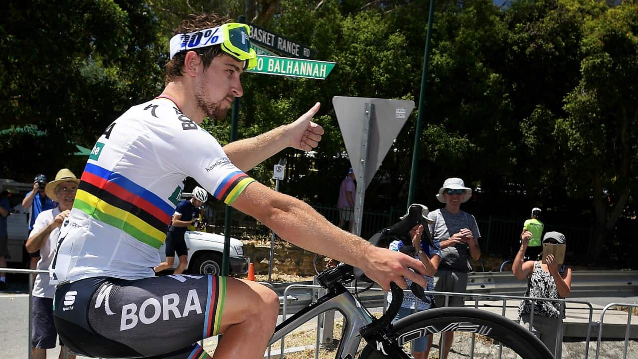 Peter Sagan, BORA-hansgrohe, Santos Tour Down Under
