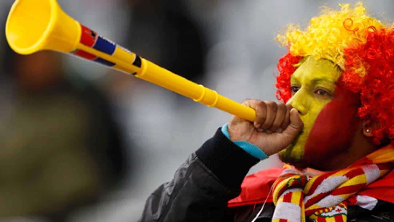 vuvuzela_spain_fan_101115_B_reuters_2119266683