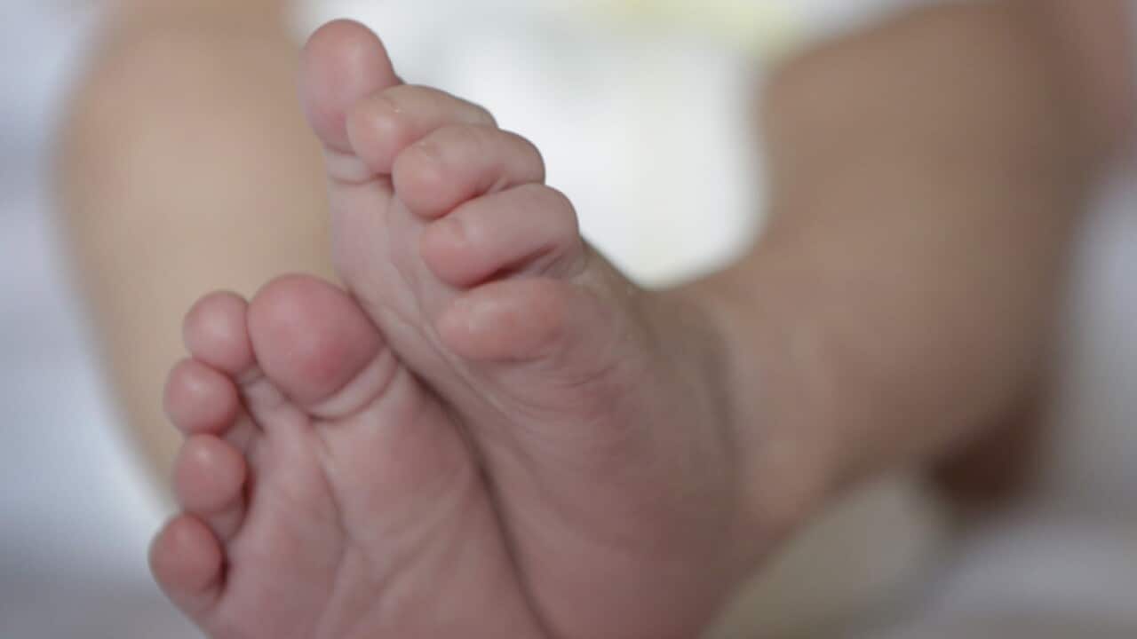 A newborn baby