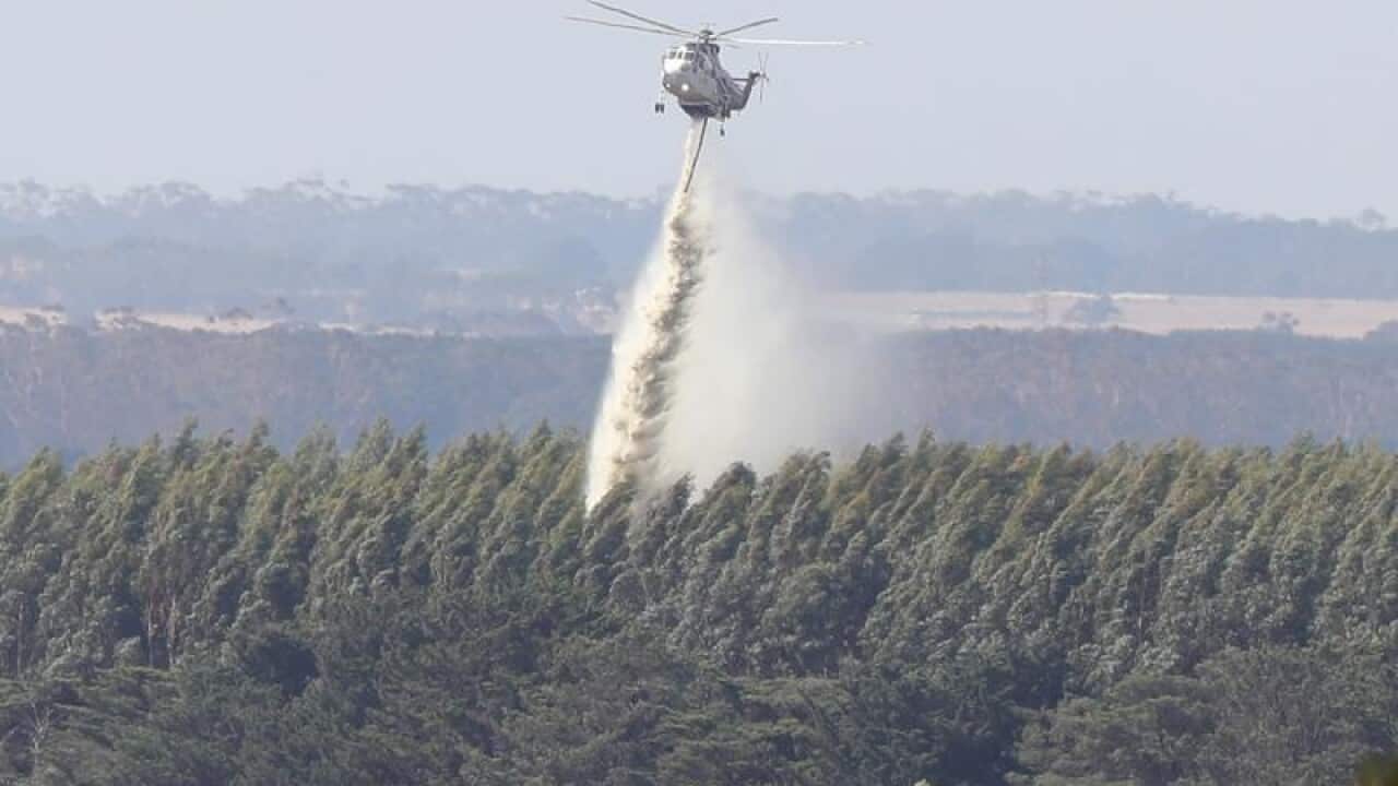A helicopter drops water on a blue gum forest