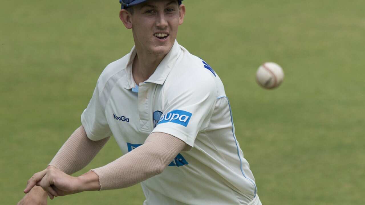 New South Wales player Nic Maddinson