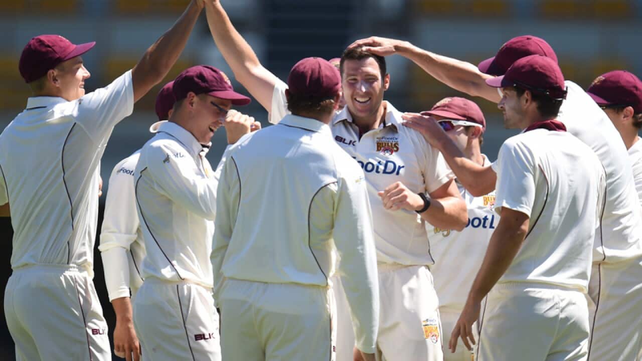 Queensland players celebrate after claiming a wicket