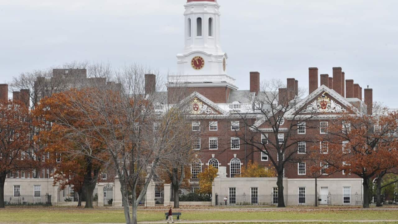 Harvard University