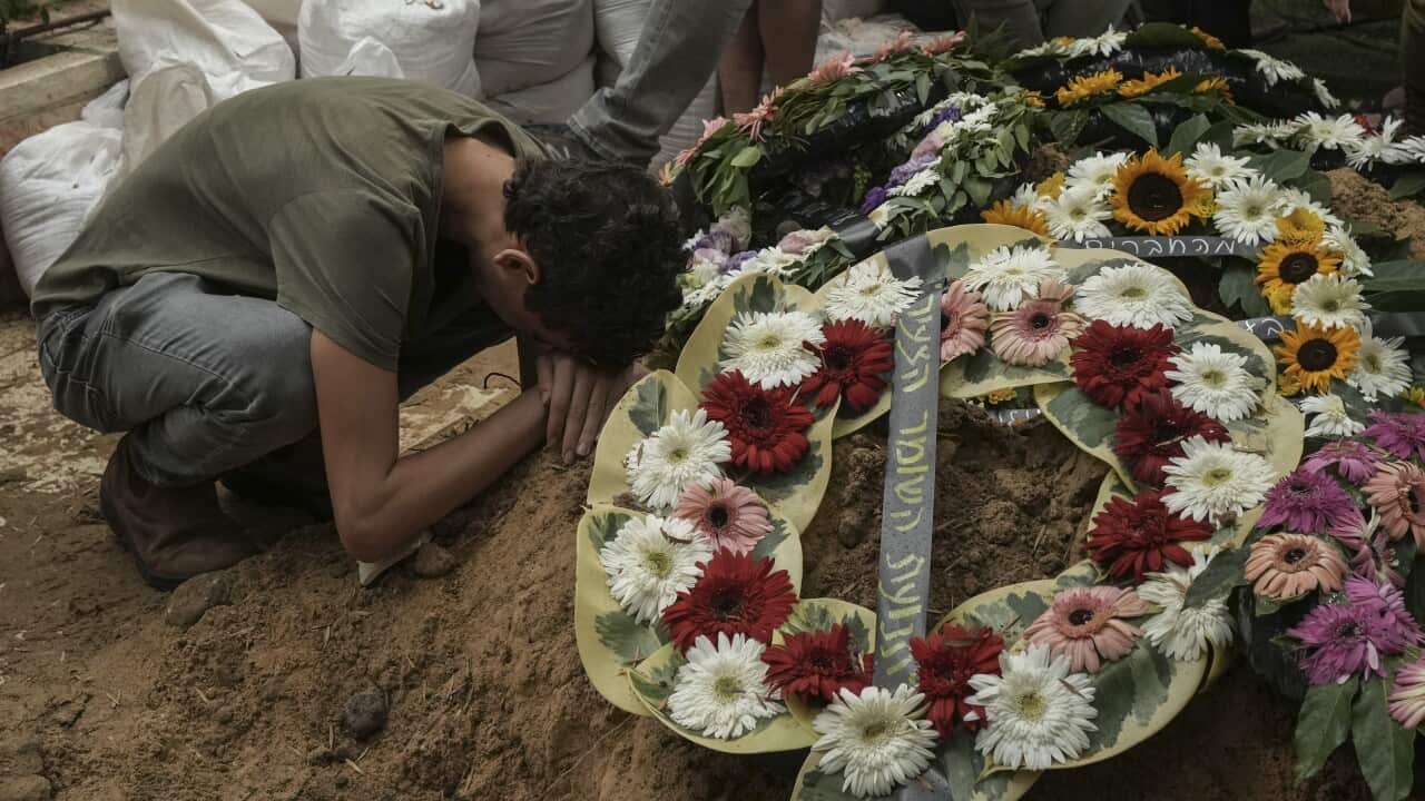 Image for read more article 'CONTENIDO RELACIONADO:'