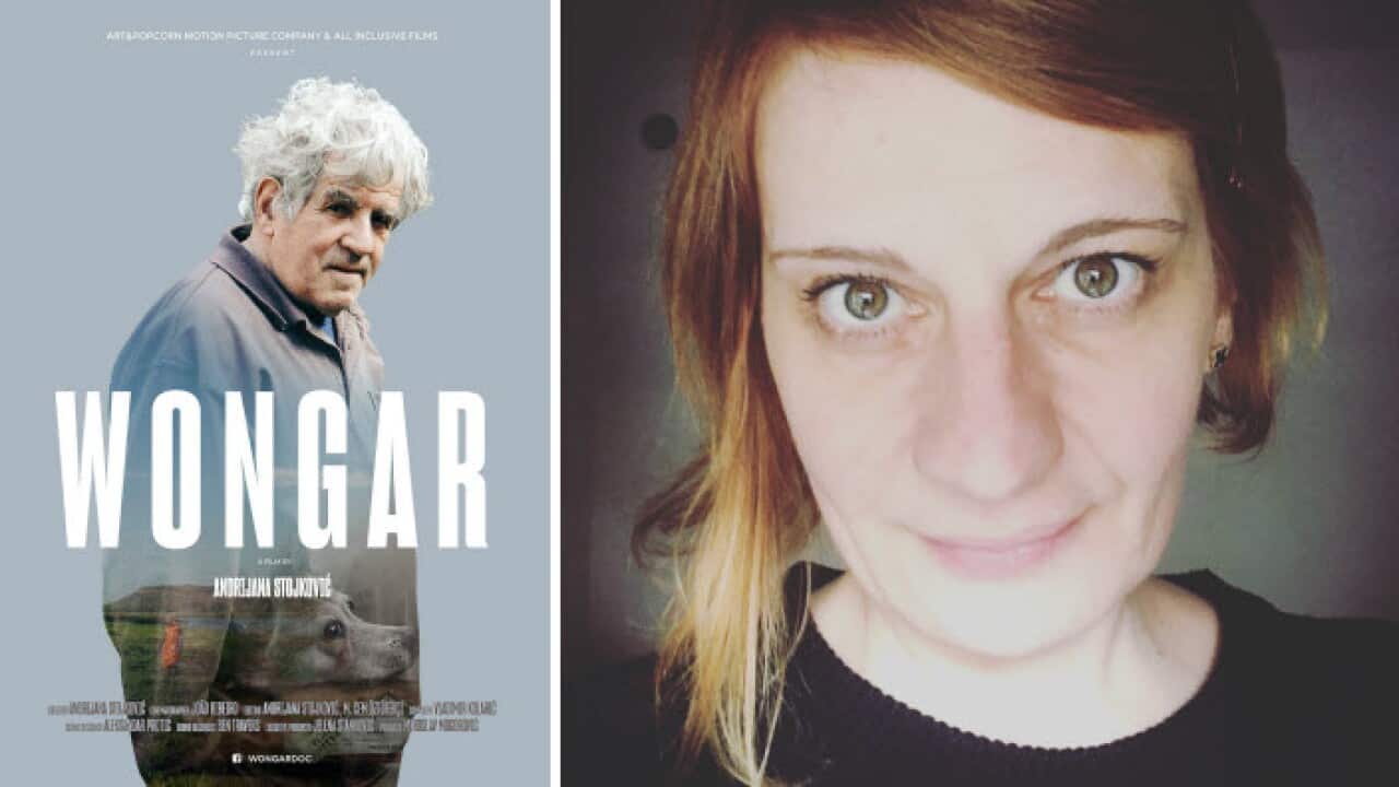 Image for read more article 'Повезане теме'