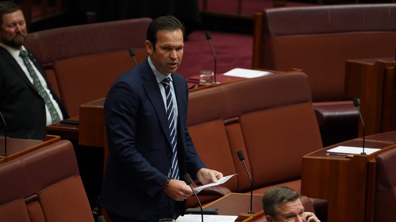 SENATE QUESTION TIME