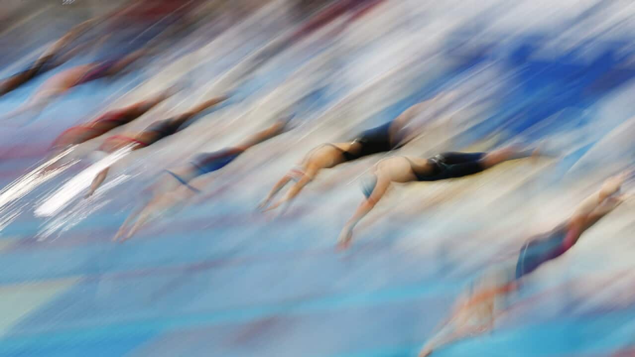 Swimmers dive off starting blocks