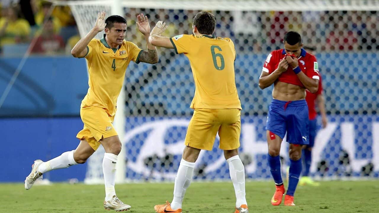 Tim Cahill Matthew Spiranovic