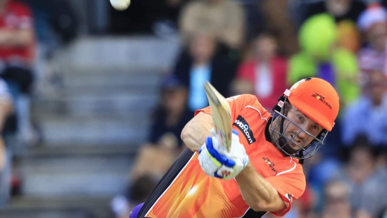 Shaun Marsh of the Scorchers