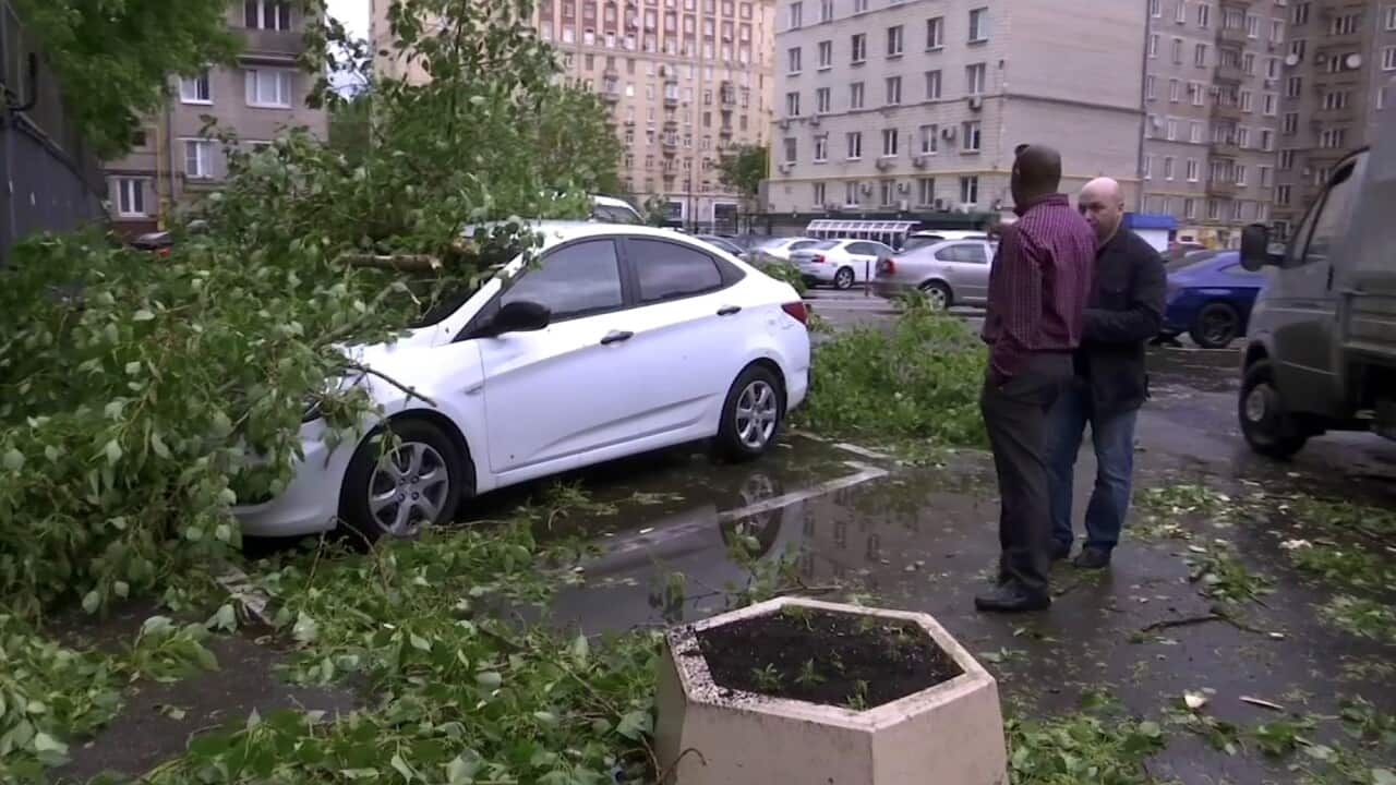 In this grab taken from video, men stand near to a vehicle crushed by branches from a fallen tree, in a residential area of Moscow, Russia