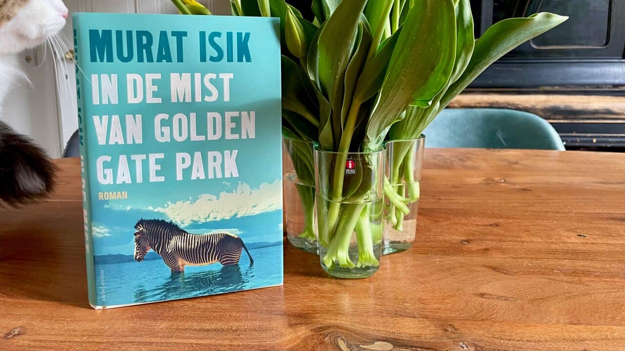 Boek in de mist van Golden Gate Park