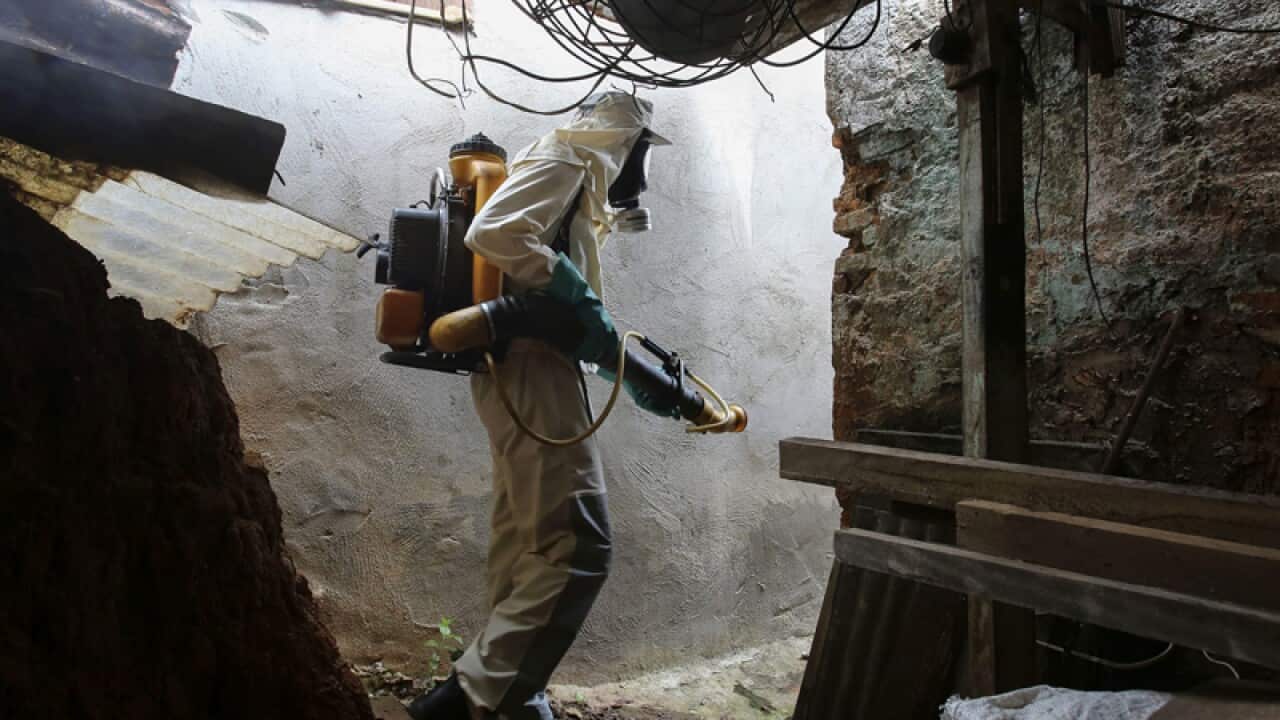 A worker fumigates in Sao Paulo