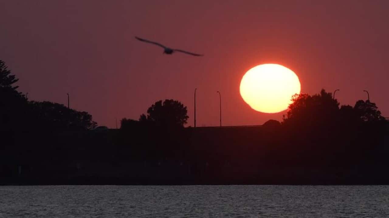 The sun rises over Captain Cook Bridge.
