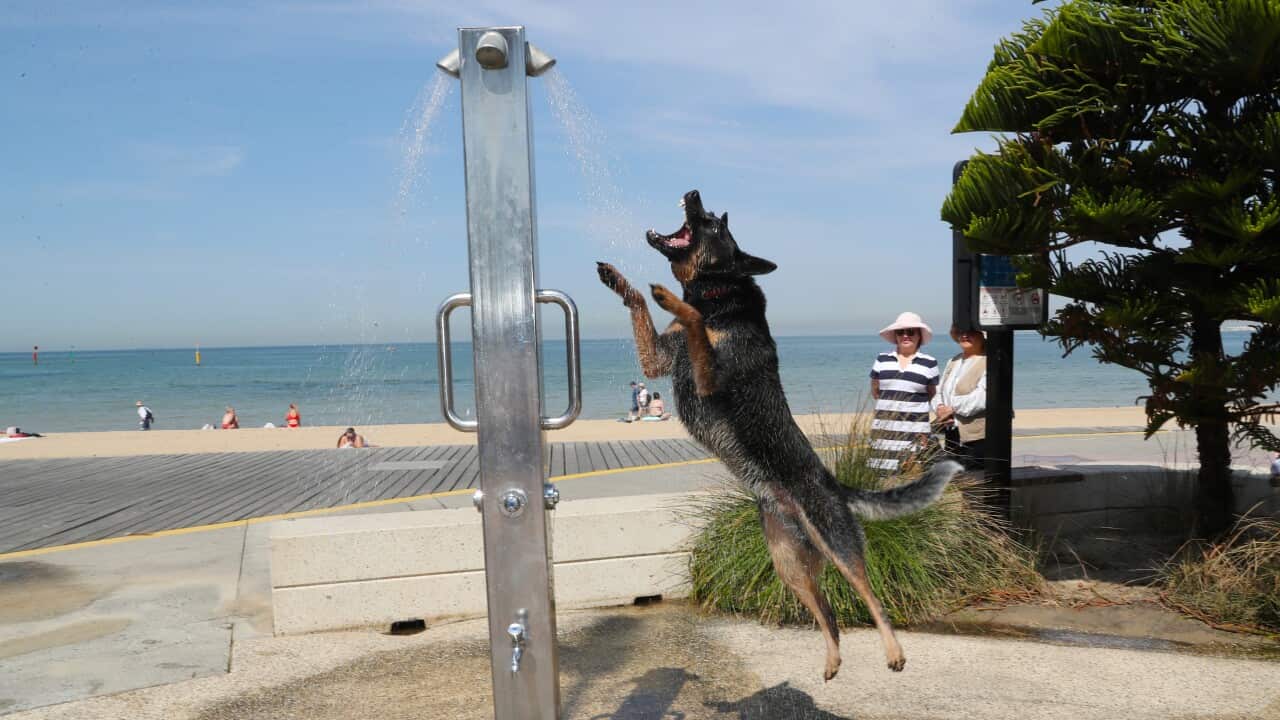 HOT WEATHER MELBOURNE