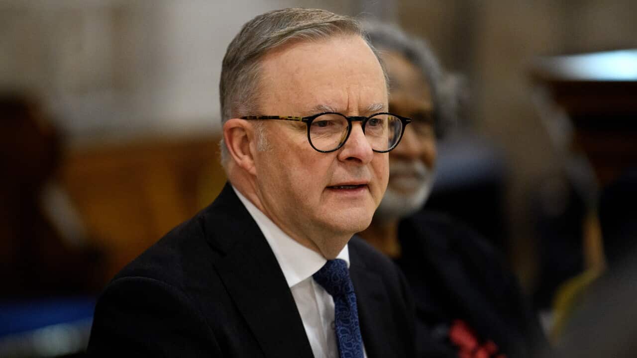 ANTHONY ALBANESE