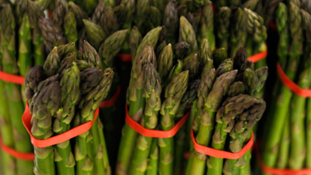 asparagus_vegetable_vegies_101203_B_reuters_842970709