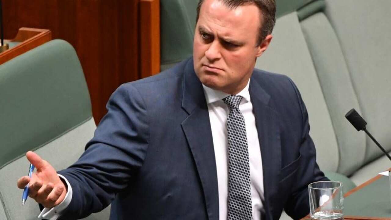 Liberal member for Goldstein Tim Wilson after Question Time.