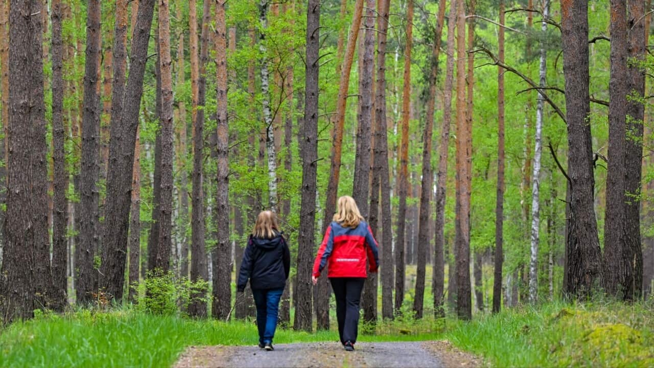 Two women are walking on a path in the forest (Getty).jpg