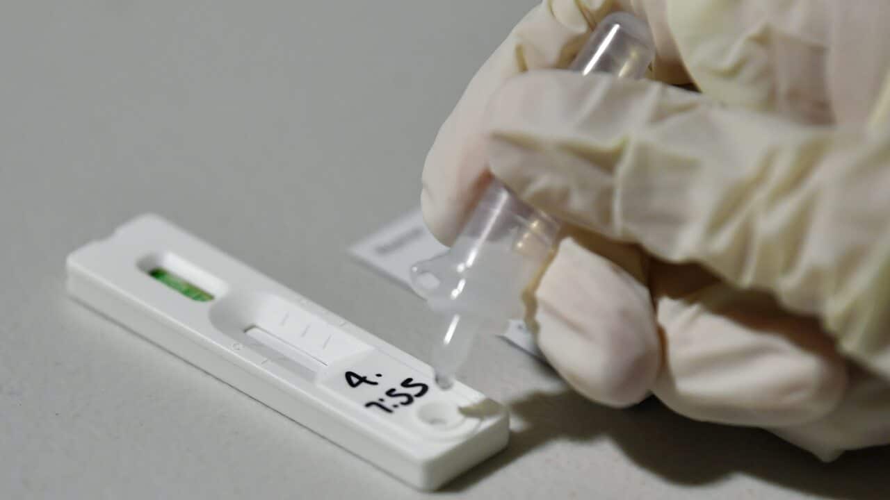 A PCR test