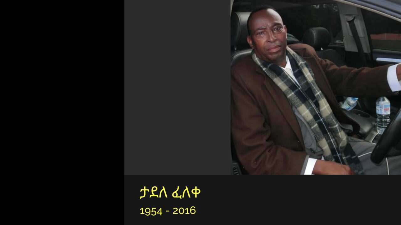 Tadele Feleke.jpg