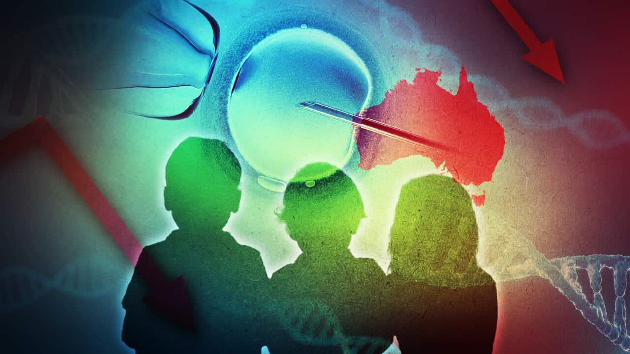 A composite image of a needle entering an egg under a microscope and the shadow of three children.