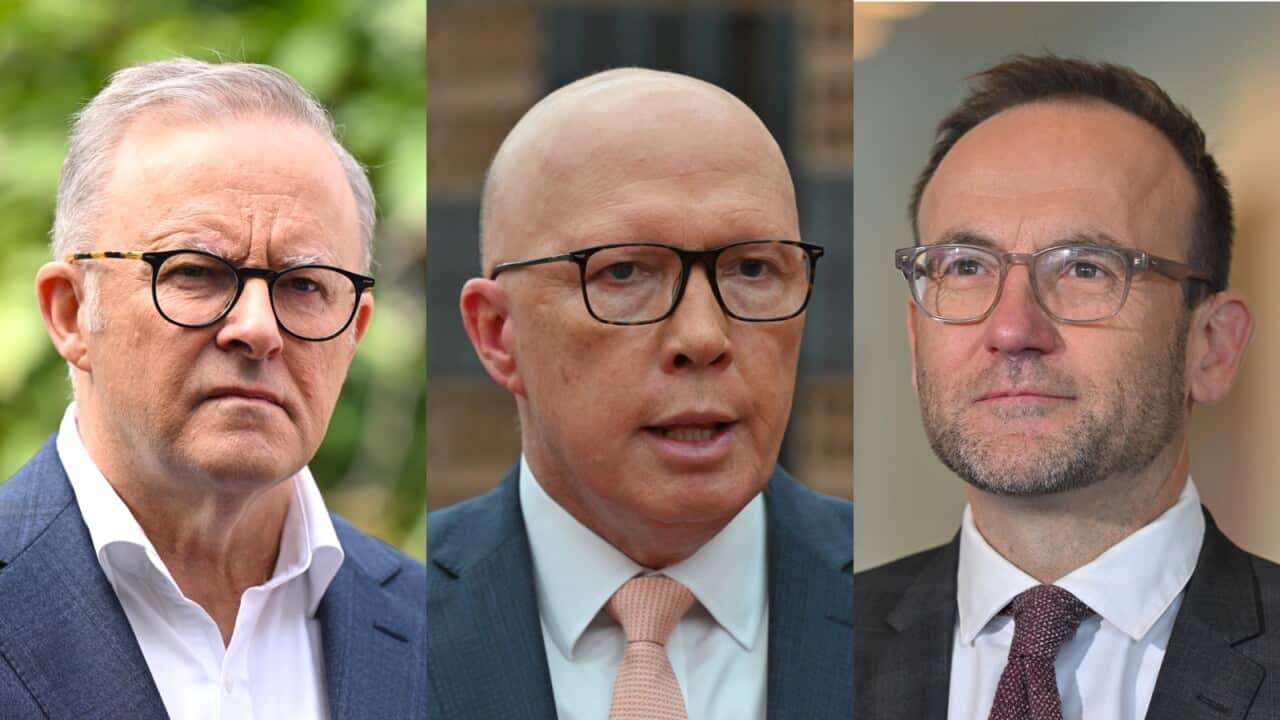 A composite image of Anthony Albanese, Peter Dutton and Adam Bandt.