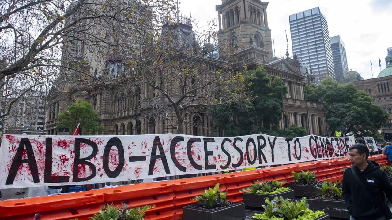 PRO-PALESTINE RALLY SYDNEY