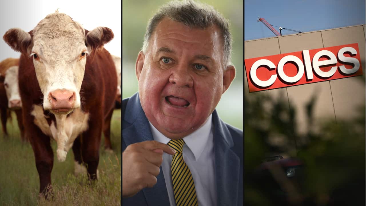 A cow, Craig Kelly and a Coles sign
