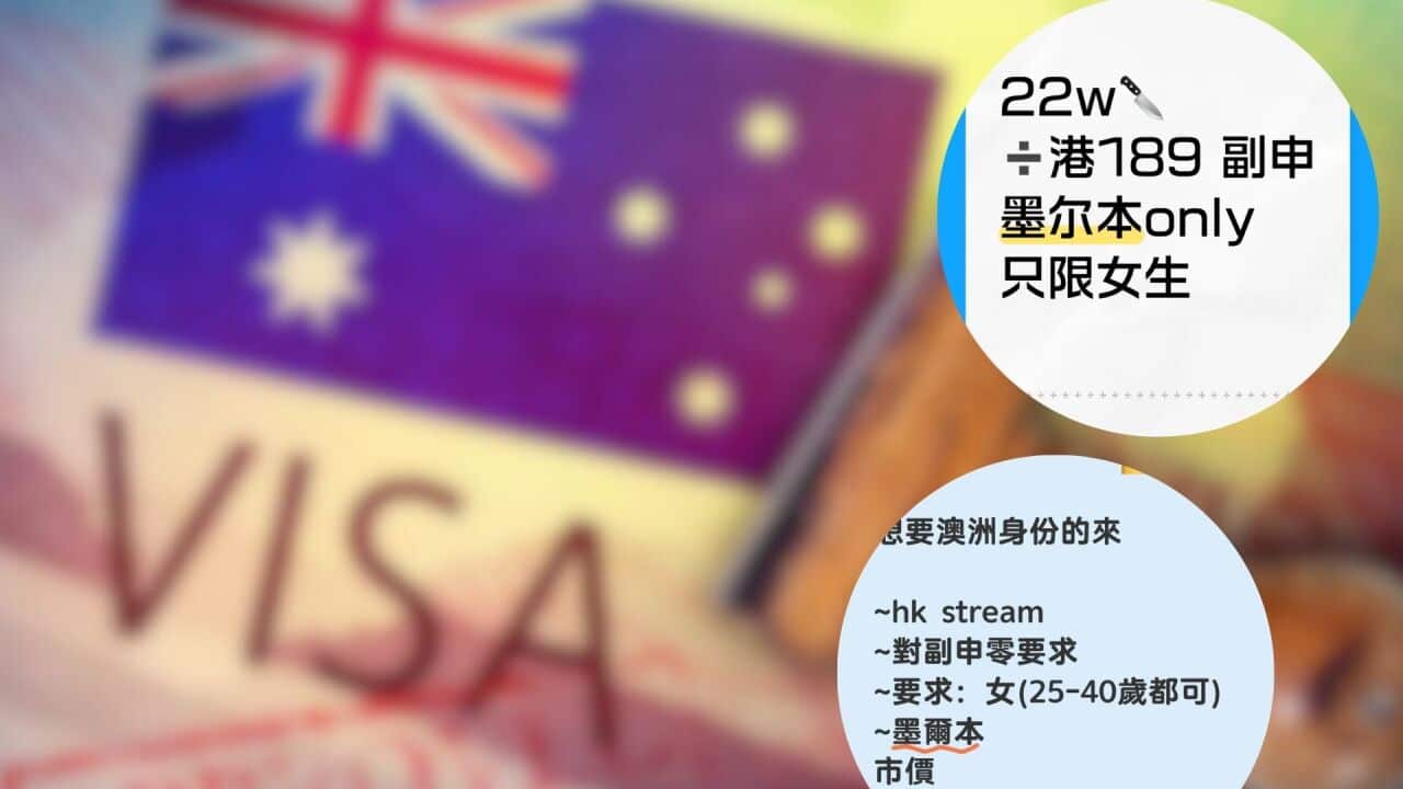 Untitled design (2).jpg