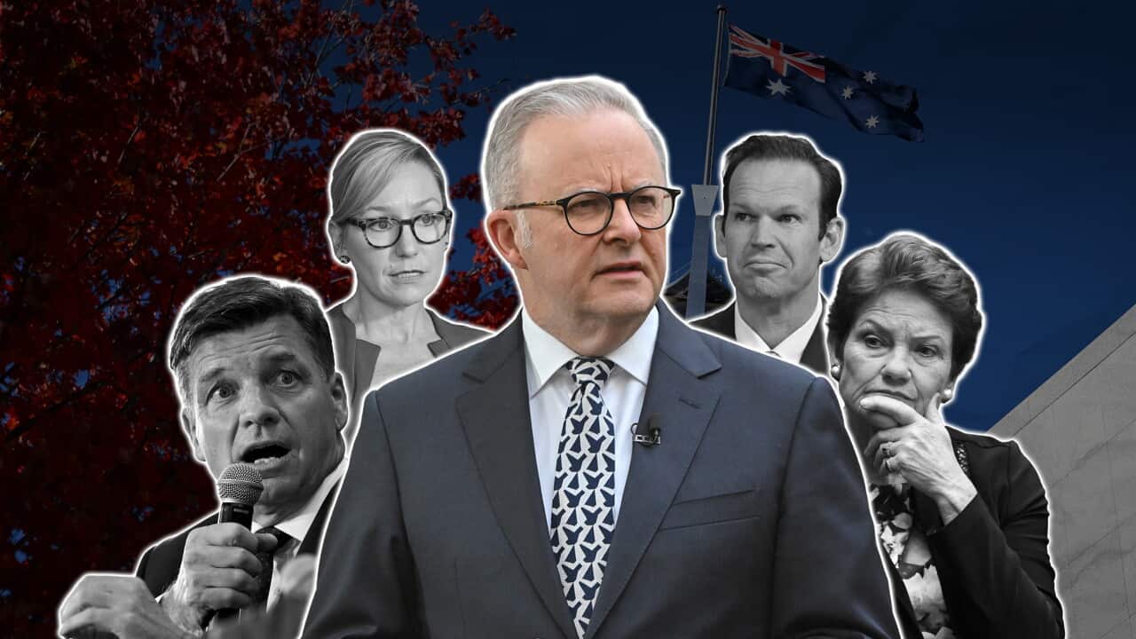 LEADERS COMPOSITE