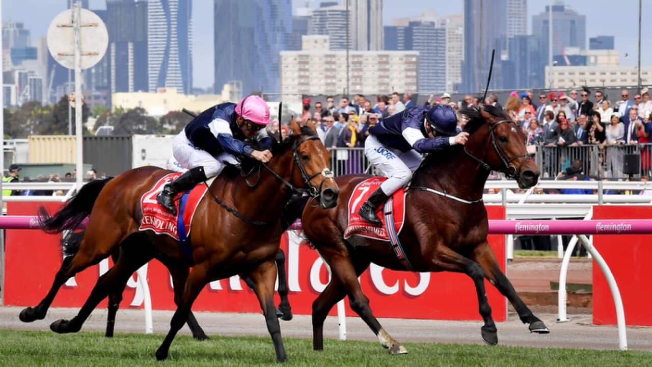 Melbourne Cup
