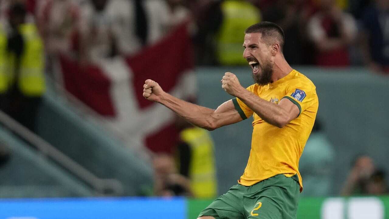 Australia's Milos Degenek celebrates at the end of the World Cup group D soccer match between Australia and Denmark