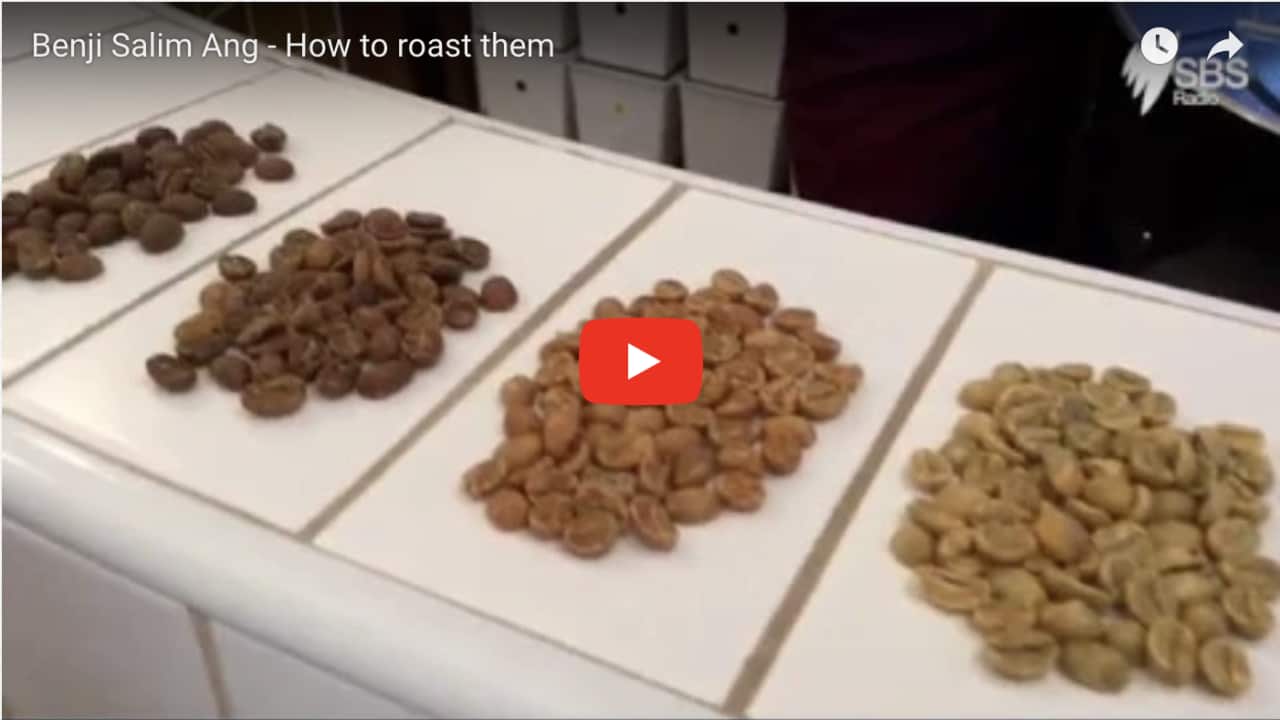 Roasted coffee beans