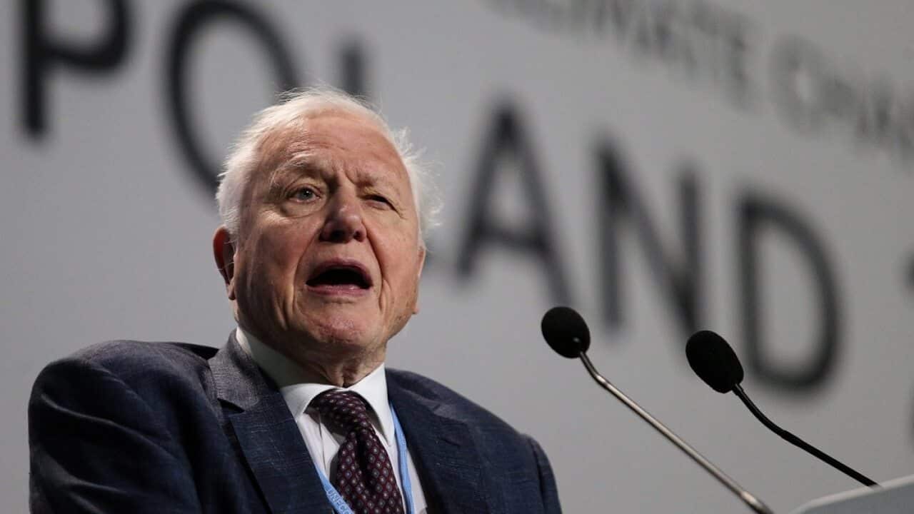 British naturalist and TV personality David Attenborough delivers a speech during the opening ceremony of the COP24 summit in Poland.