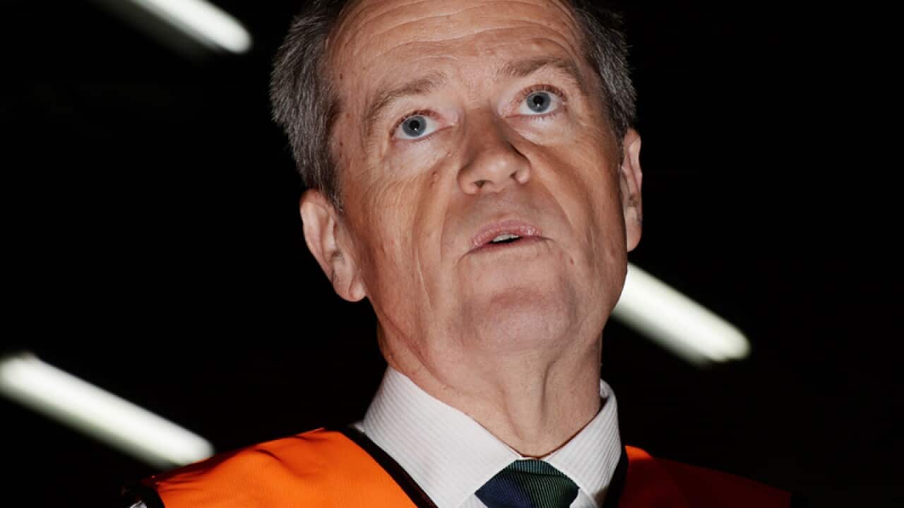 Leader of the Opposition Bill Shorten