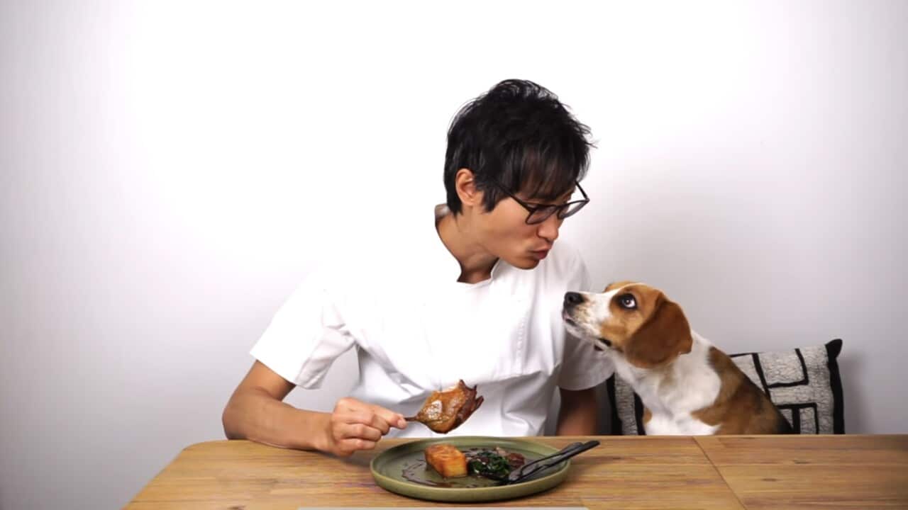 Image for read more article ''