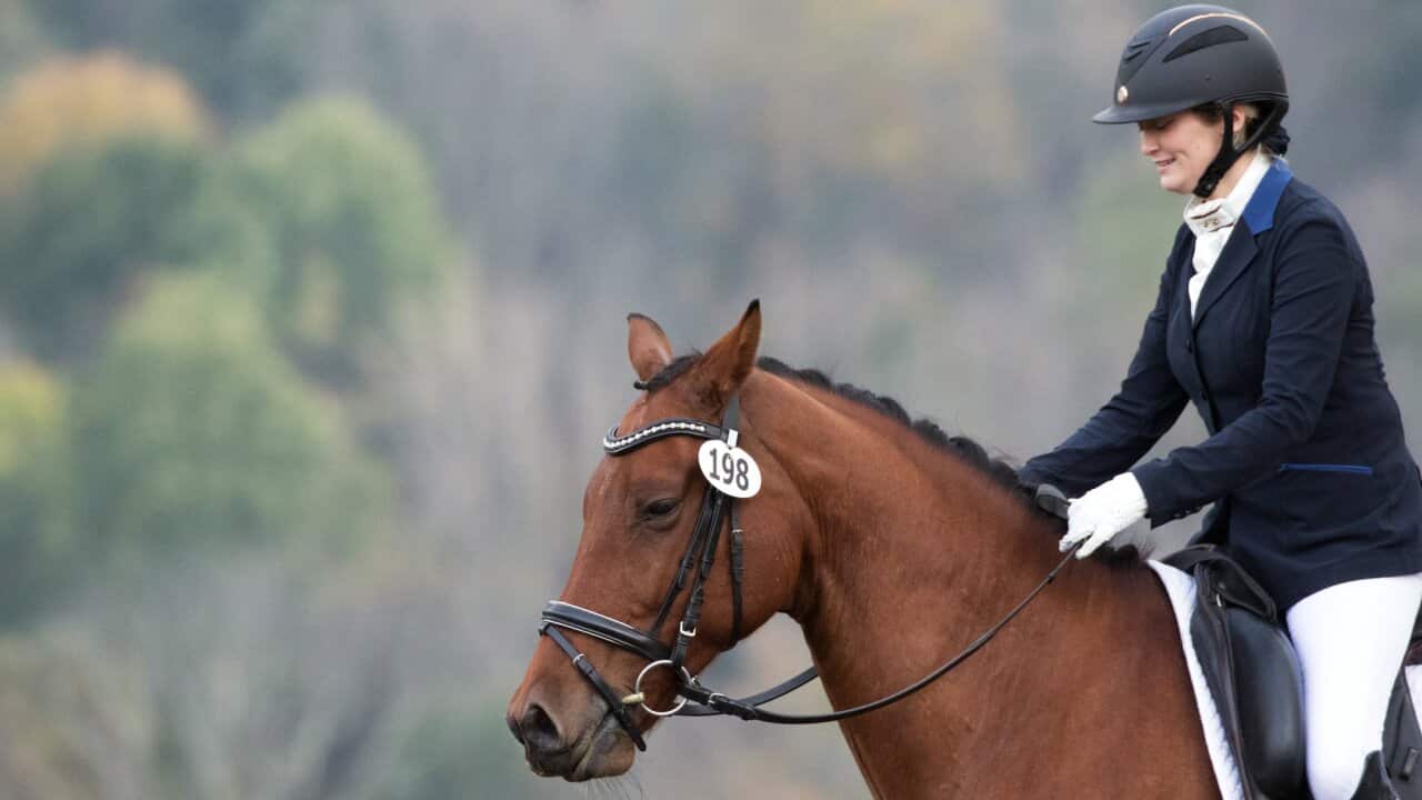 Lauren Kanarek, in a 2018 competition, used Facebook to chronicle a dispute with her trainer, an Olympics dressage riding coach.