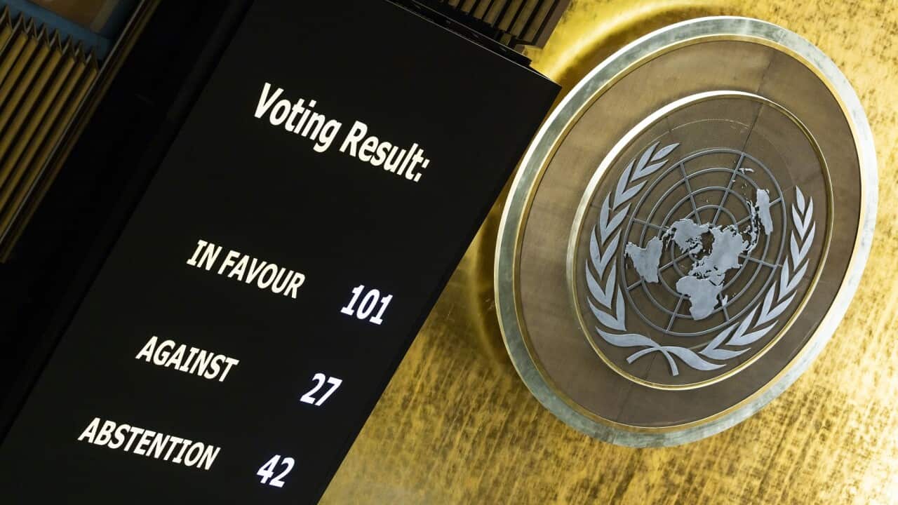 United Nations General Assembly votes on non-binding resolutions on Palestine