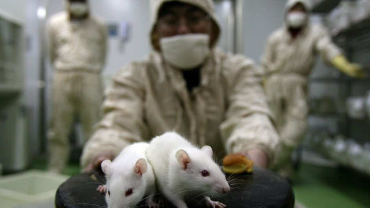 Animal Testing Price US researchers defend animal testing | SBS News