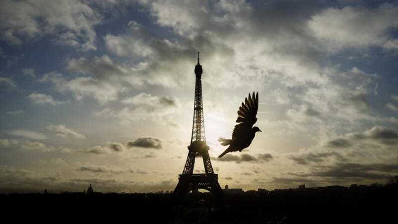 A bird flies in front of the Eiffel Tower ,which remained closed on the first of three days of national mourning, in Paris, Sunday, Nov. 15, 2015. (AP Photo/Daniel Ochoa de Olza)
