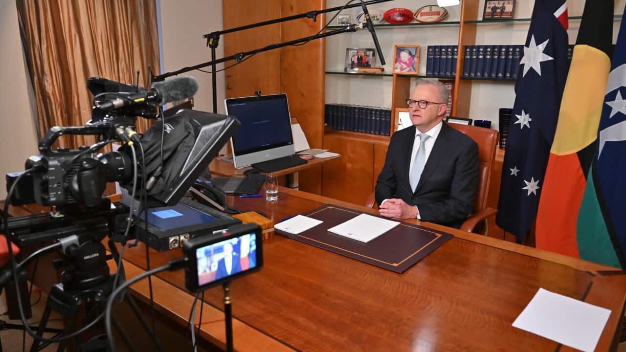 ANTHONY ALBANESE NATIONAL BROADCAST