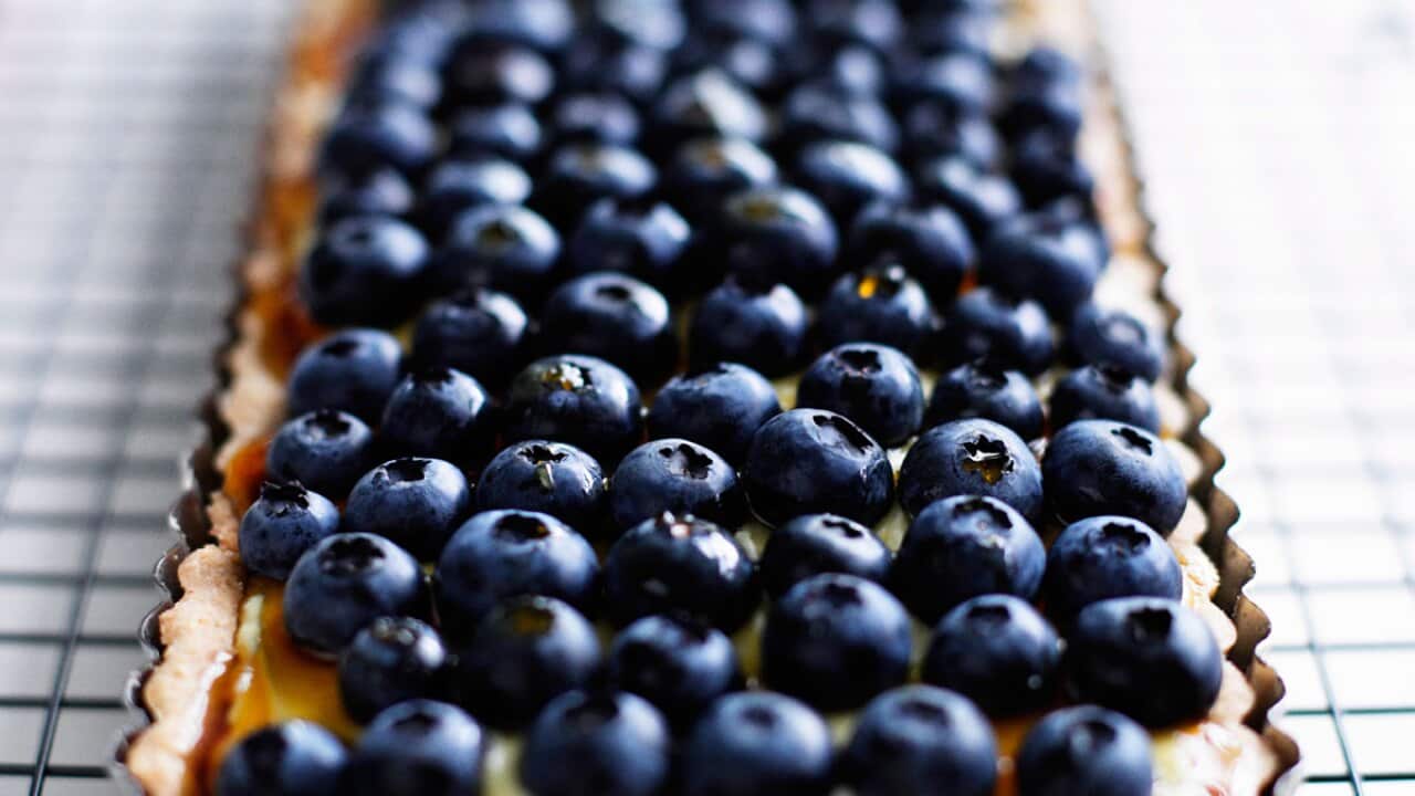 Blueberry, maple and marscapone tart