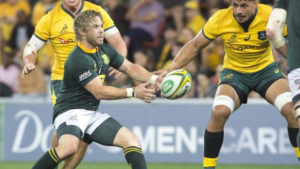 South Africa halfback Faf de Klerk