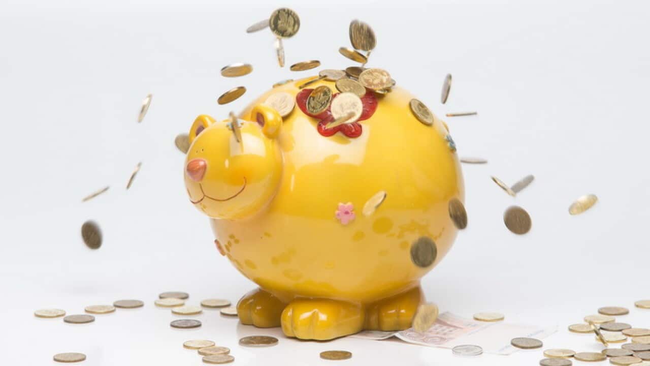 Cat Piggy Bank
