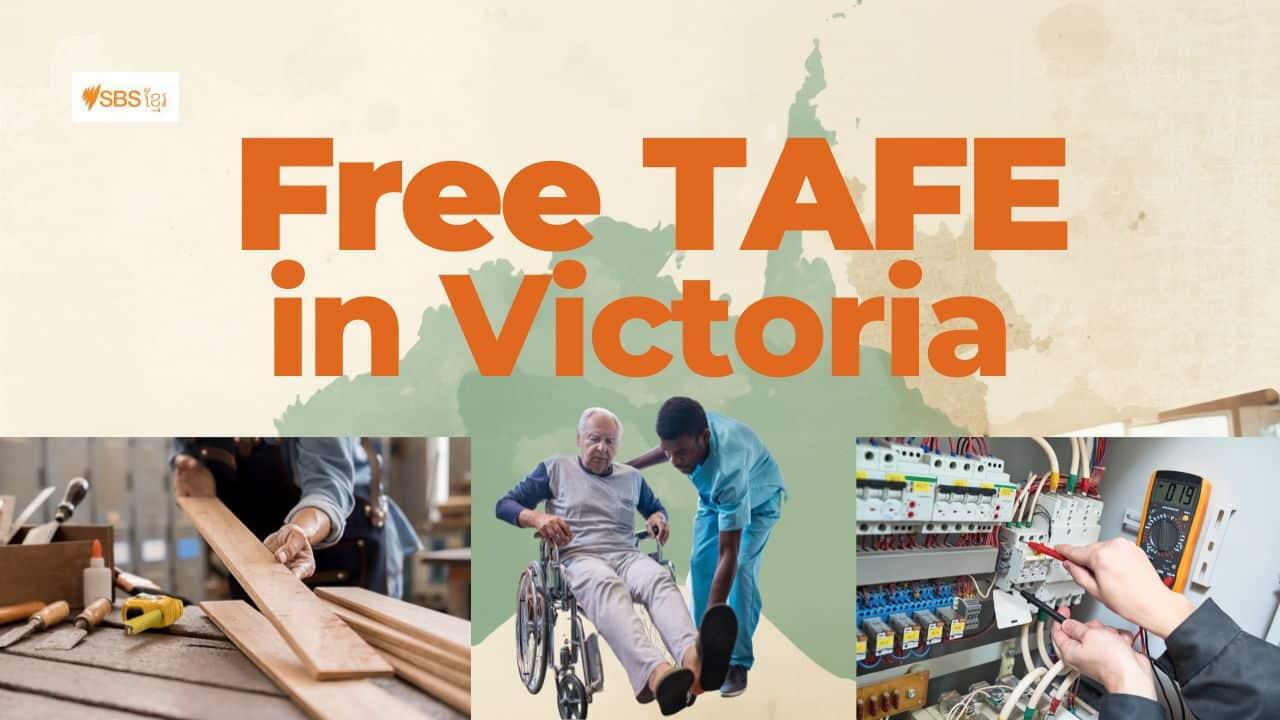 Free Tafe Picture.jpg