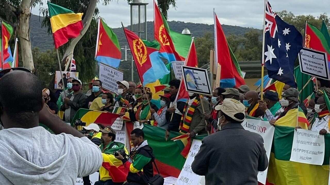 SBS Tigrinya News