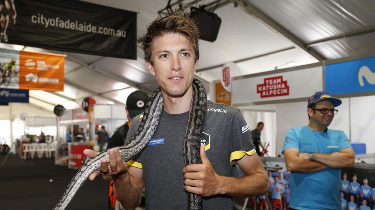 Getty Image of Kiwi cyclist George Bennett at the 2019 Tour Down Under holding a snake