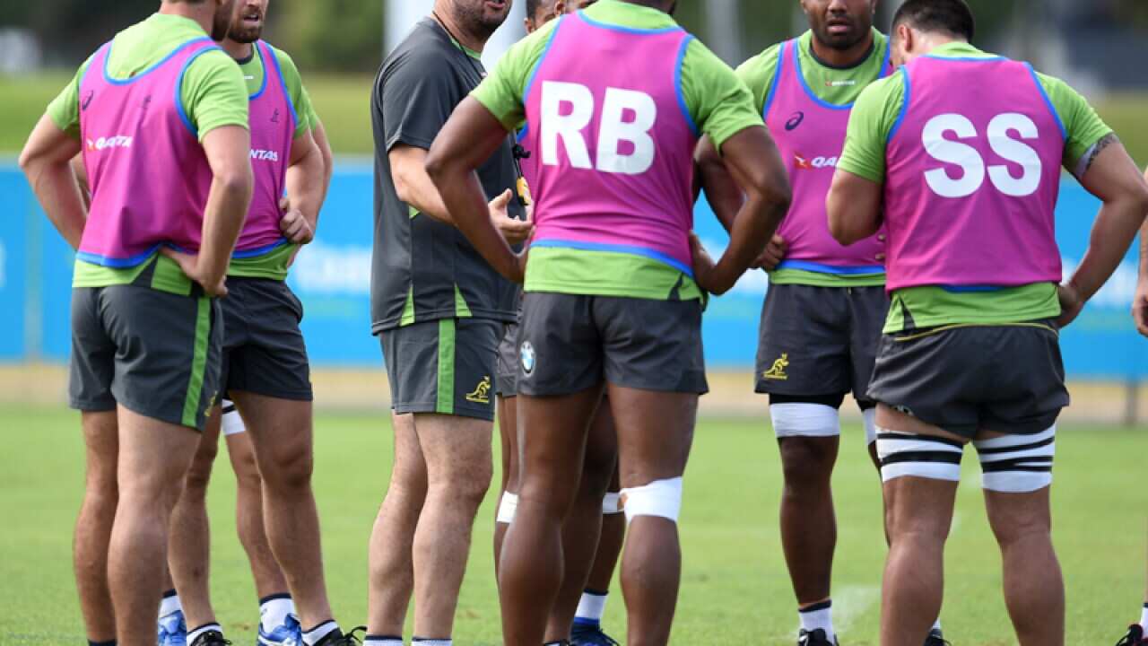Wallabies coach Michael Cheika speaks to his players